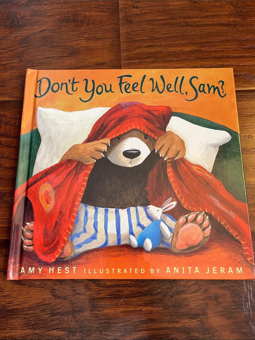 ⭐️⭐️ PICK 5 / $20 Don't You Feel Well, Sam? - Amy Hest (Children's Book)